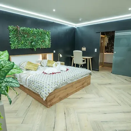 Apartamento L'obsidienne - Sauna & - Parking, Train Station Thorigny-sur-Marne